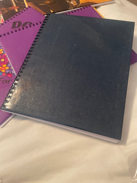 Monthly Budget and Manifestation Planner